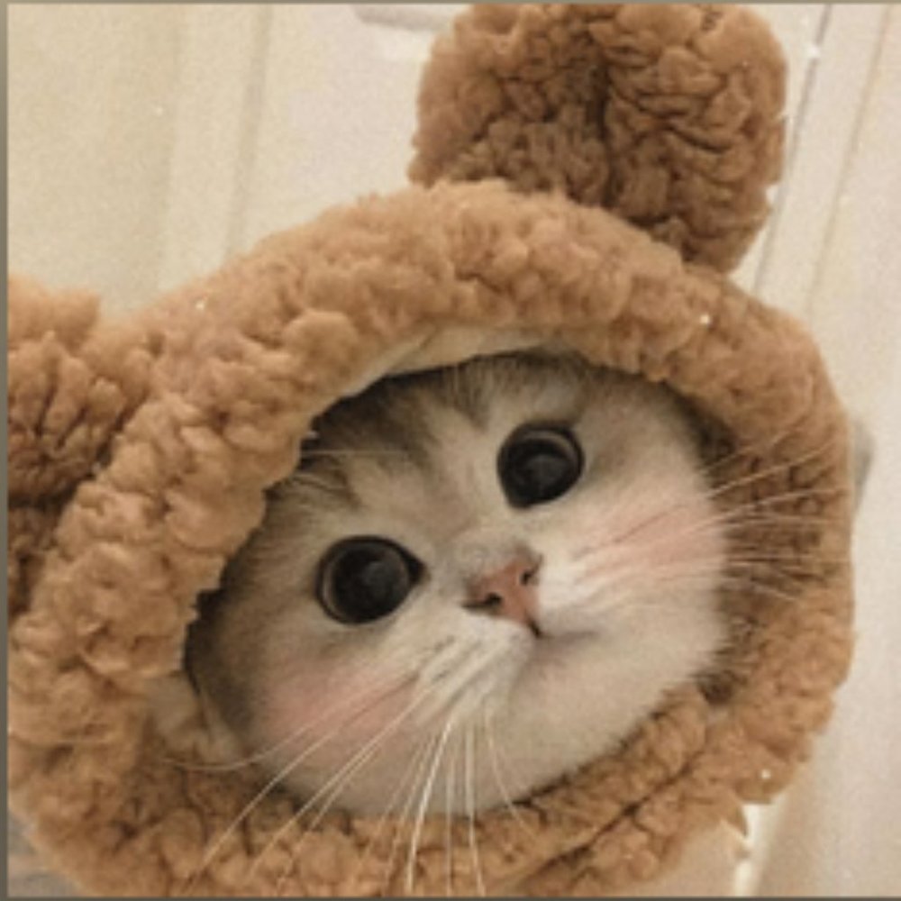 💜 Marcia Aurora - POSHER